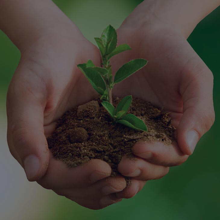 Compromiso de descarbonización al 2050