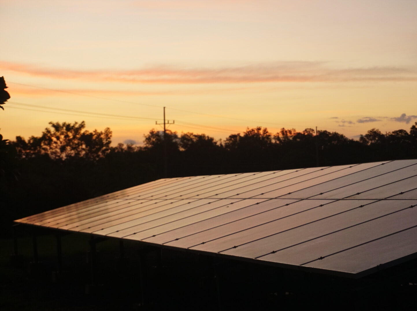 Red eléctrica nacional completamente renovable